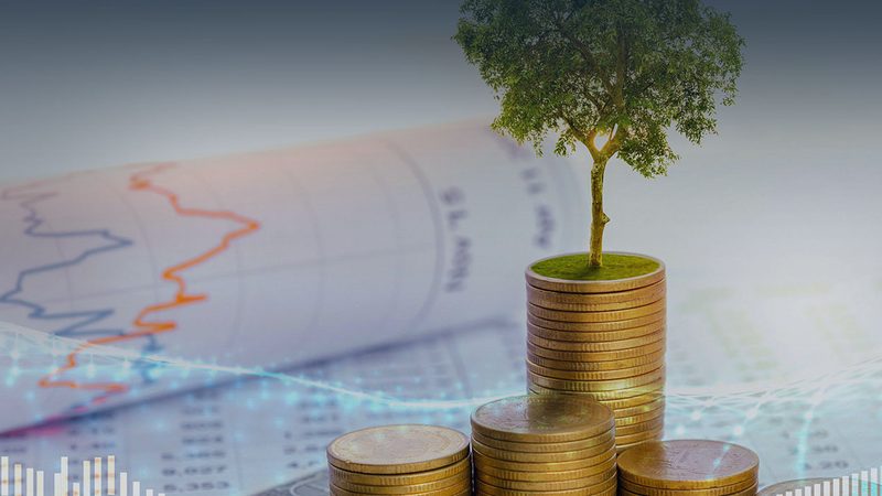 IPO咨询周期过长？揭秘优化路径